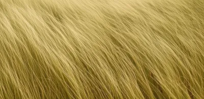 Illustration sways - Image 1