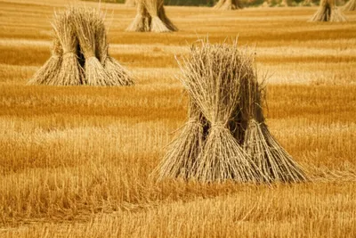 Illustration shocked - Image 1