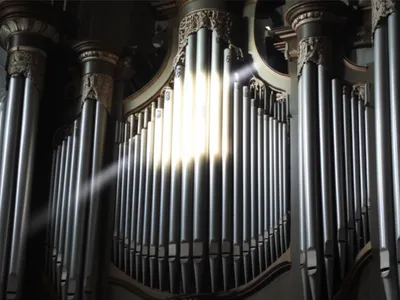 Illustration principal - Image 1