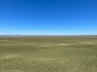 Illustration champaign - Image 1