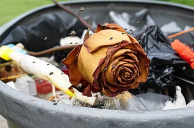 Illustration stink - Image 1