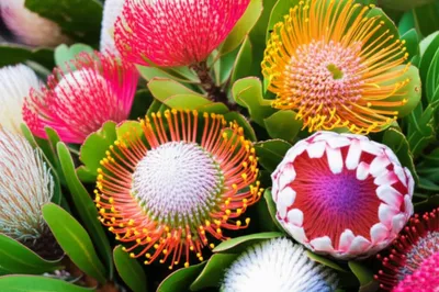 Illustration cones - Image 1