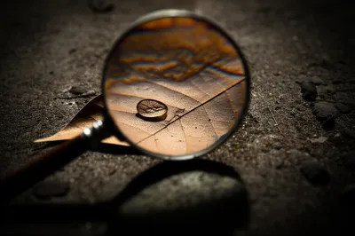 Illustration telltales - Image 1