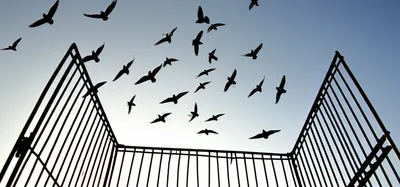 Illustration emancipated - Image 1