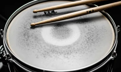 Illustration ruffed - Image 1