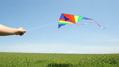 Illustration downs - Image 1