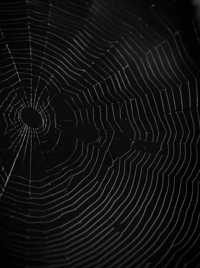 Illustration ch - Image 1