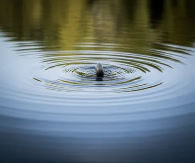 Illustration skittering - Image 1