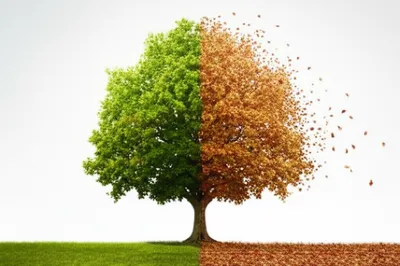 Illustration varied - Image 1