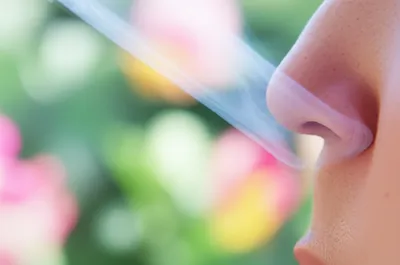 Illustration sniff - Image 1