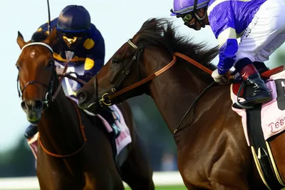 Illustration pipped - Image 1