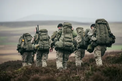 Illustration tab - Image 1