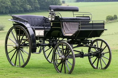 Illustration perch - Image 1