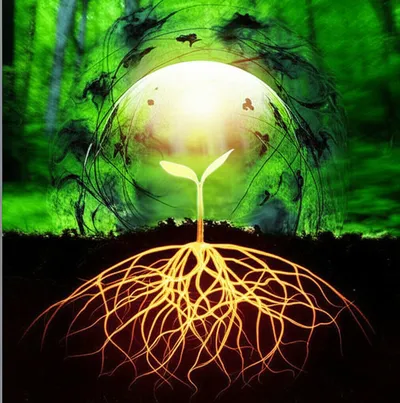 Illustration shields - Image 1