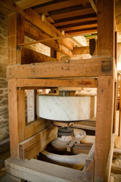 Illustration husk - Image 1