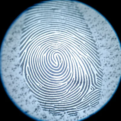 Illustration scrutinize