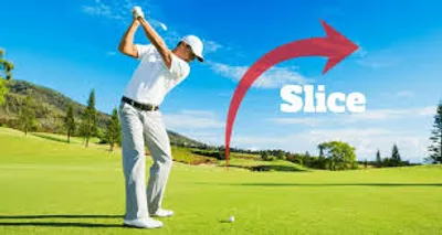 Illustration slice - Image 2