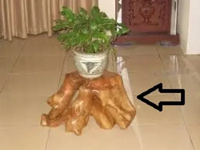 Illustration foot - Image 4