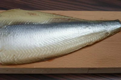 Illustration bloated - Image 1