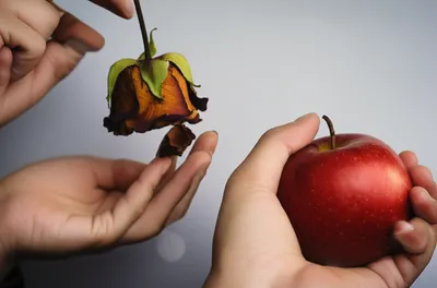 Illustration pitch - Image 1