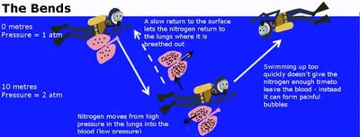 Illustration bend - Image 2