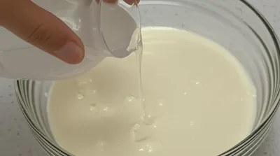 Illustration bittern - Image 1