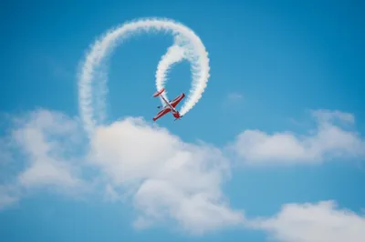 Illustration loop - Image 1