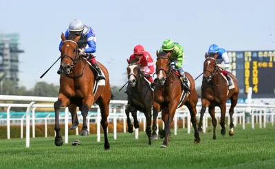 Illustration placed - Image 1