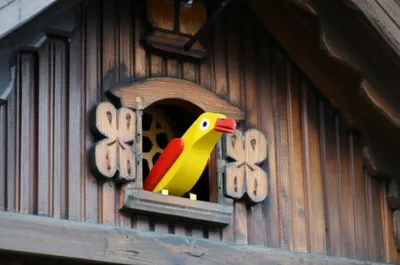 Illustration cuckoo - Image 1