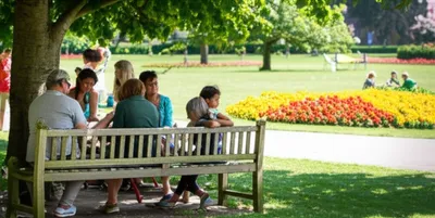 Illustration benches