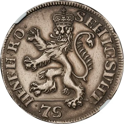 Illustration lion - Image 1