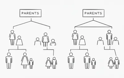 Illustration half - Image 1