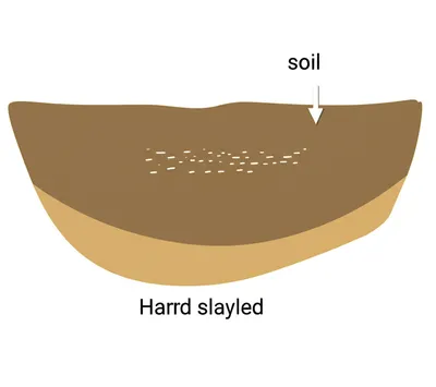 Illustration pan - Image 1