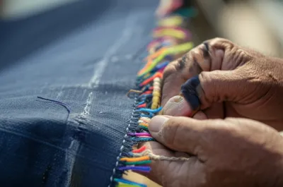 Hình ảnh minh họa thrumming - Ảnh 1