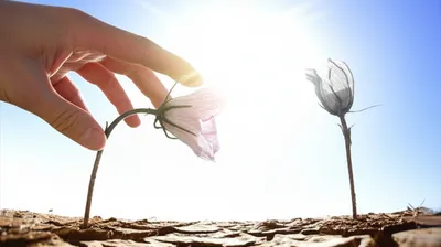 Illustration moralizes - Image 1