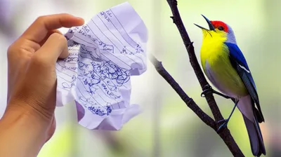 Illustration singsonged - Image 1