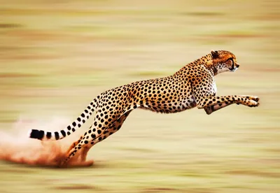 Illustration spanking - Image 1