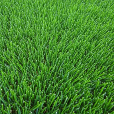 Illustration grass - Image 1