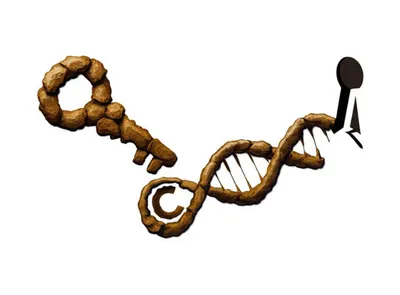 Illustration guanine