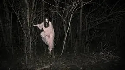 Illustration haunt - Image 2