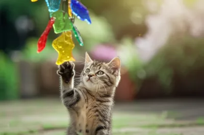 Illustration clinker - Image 1