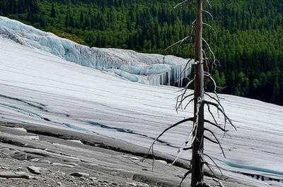 Illustration glacial - Image 1