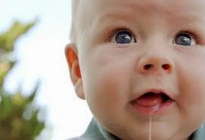 Illustration drool - Image 2