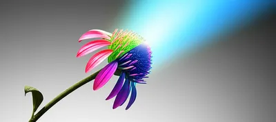 Illustration reloading - Image 1