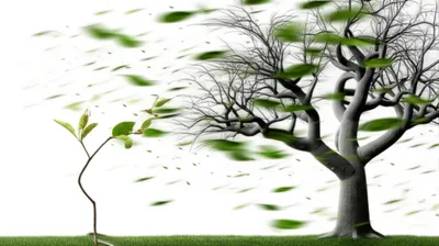 Illustration harden - Image 1