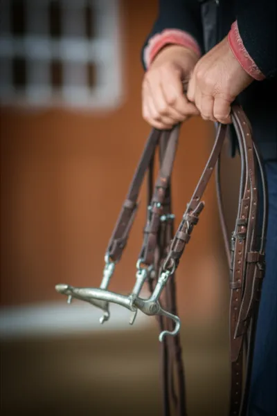 Illustration ribbon - Image 1