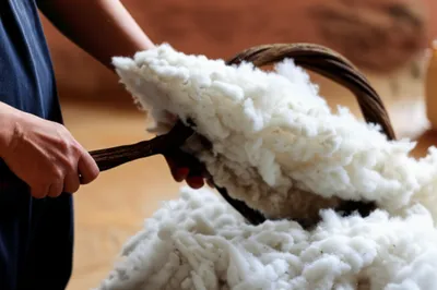 Illustration willow - Image 1