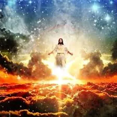 Illustration kingdom - Image 3