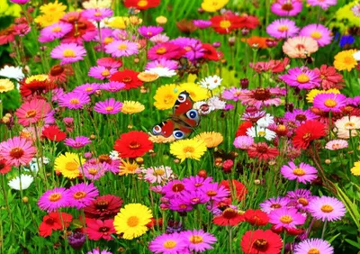 Illustration spots - Image 1