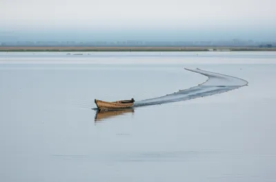 Illustration trawled - Image 1